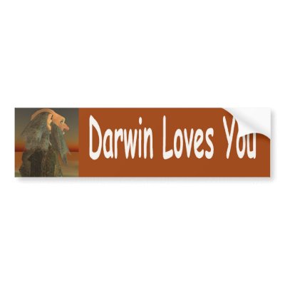 Darwin Bumper Sticker by exileguy