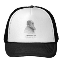 Darwin Casquettes