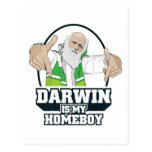 Darwin Is My Homeboy (Full Colour) Post Cards