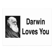 Darwin Loves You 2 Postcards