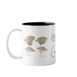 Darwin mug