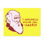Darwin