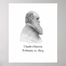 Darwin Posters
