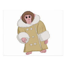 Darwin qu'Ikea Monkey Cartes Postales