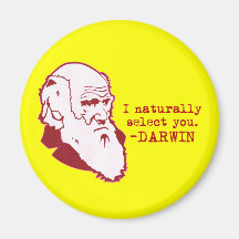 Darwin Refrigerator Magnets