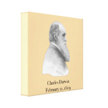 Darwin Toiles Tendues Sur Châssis