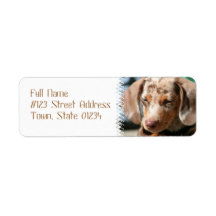Daschund Dog Return Address Mailing Labels