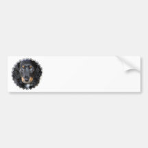Daschund Puppy Dog Bumper Sticker