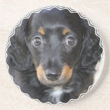 Daschund Puppy Dog Coaster