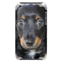 Daschund Puppy Dog iTouch Case iPod Touch Case-Mate Case