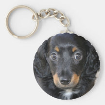 Daschund Puppy Dog Keychain
