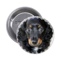 Daschund Puppy Dog Round Button