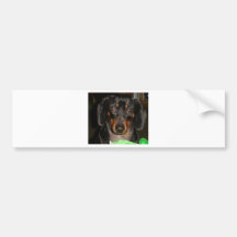 Dashshund Doggie Bumper Sticker