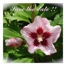Date invitation annonce save the