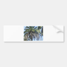 Date palm in Malaga Bumper Sticker