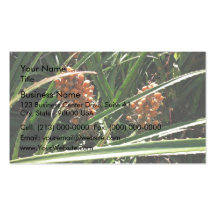 Dates in shrubs business card