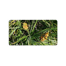 Dates in shrubs custom address label