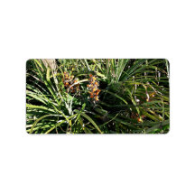 Dates in shrubs custom address label