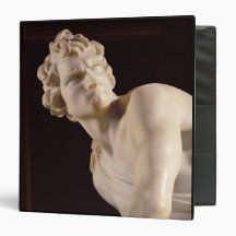 David, 1623-24 (marble) (detail) vinyl binder