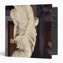 David, 1623-24 vinyl binders