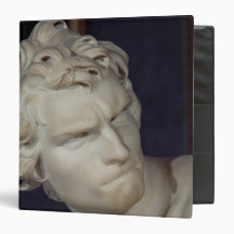 David, detail of the head, 1623-23 vinyl binders