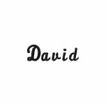 David Embroidered Shirt