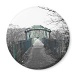 David Livingstone Bridge Magnets