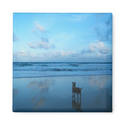 Dawn At Karon Beach,Phuket Island Refrigerator Magnets by Heartworks