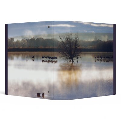 Dawn Colour & Cranes Avery Binder by farmer77