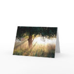 Dawn Deepest Sympathy Card
