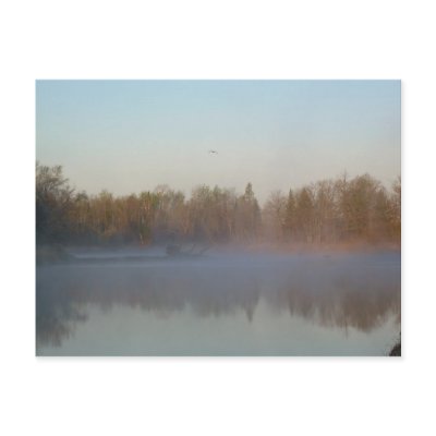 Dawn Fog over Mississippi river Post Cards by NiftyMorning