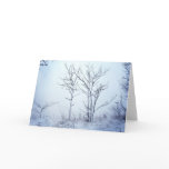 Dawn Of A New Year Greeting Cards