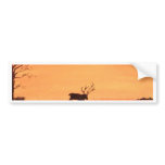 Dawn of Peace_Reindeer_Anjali Sanghi bumper stickers
