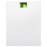Dawn of Time – Lime & Gold Emerge letterhead