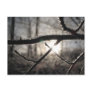 dawn post cards