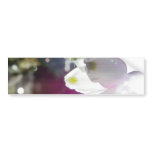 Dawn Snowdrops Bumper Sticker