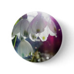 Dawn Snowdrops Button