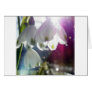 Dawn Snowdrops Cards