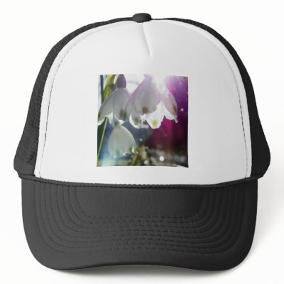 Dawn Snowdrops Hat by NZPhotography
