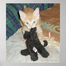 Dax et affiche de chat noir