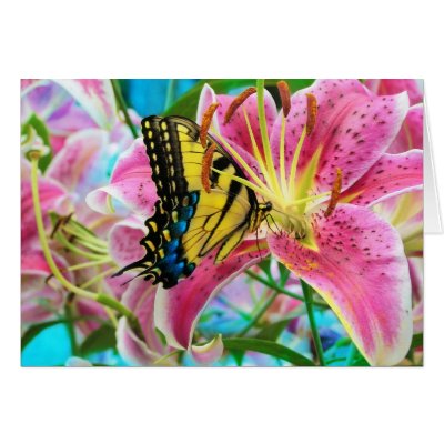 Day Dream ,  Forever Summer (CARD) by ginaayerssignore