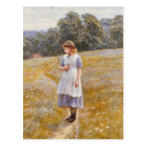Daydreamer, 1878 postcards