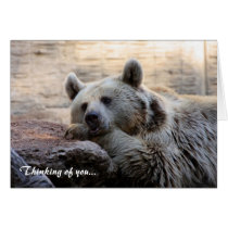 Daydreaming Bear Greeting Card cards