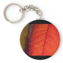 daydreams linger keychains