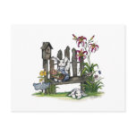 Daylilies And Bunnies postcards