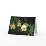 Daylilies Greeting Card