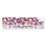 Daylilies Everywhere Bumper Sticker