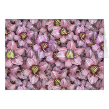 Daylilies Everywhere Card