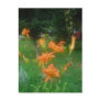 daylilies of summer postcard