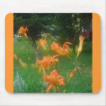 daylillies mouse pads